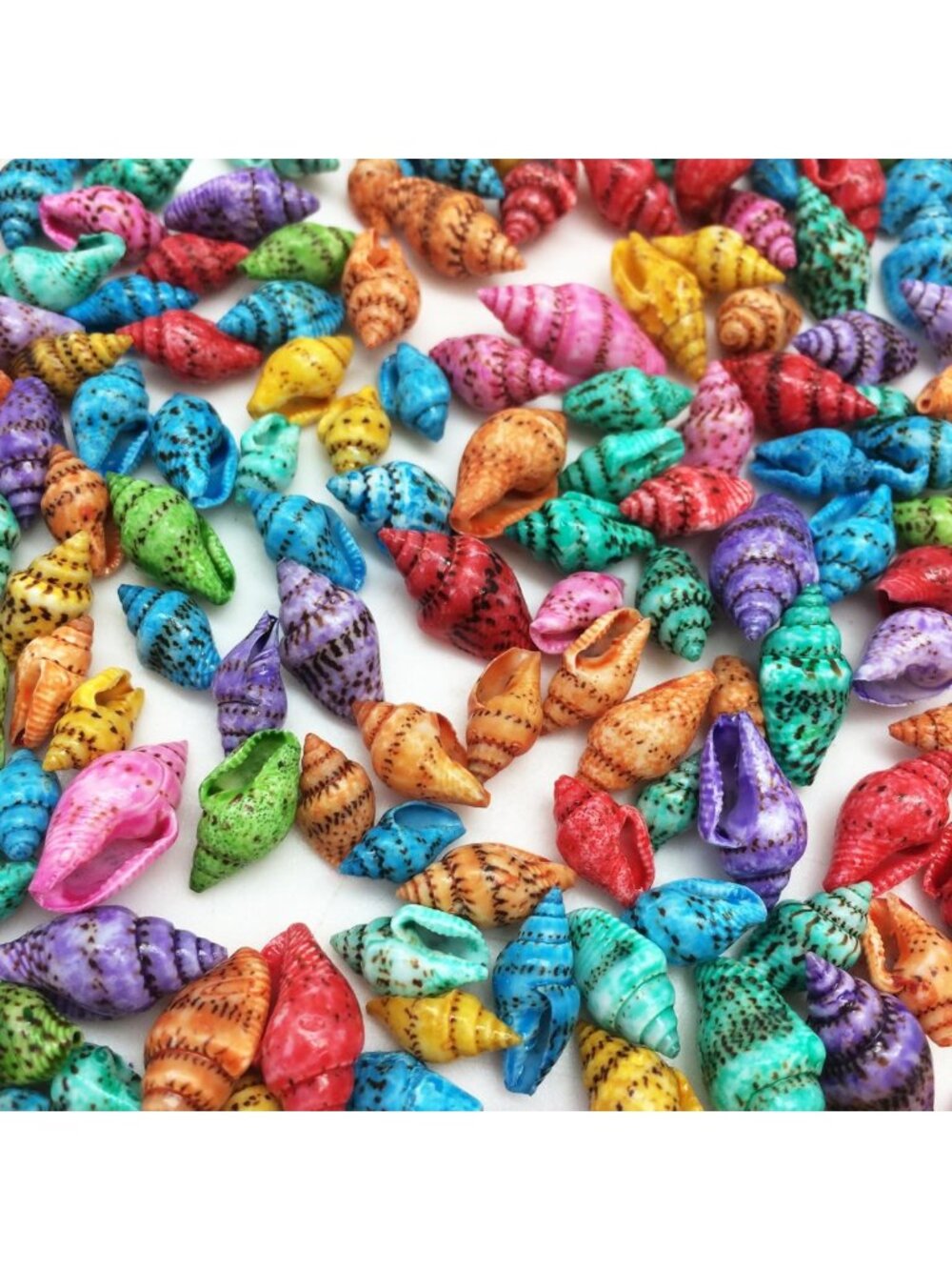Assorted Tiny Sea Shells - 4 OZ, 500+ Colorful Dove Shells for Crafts & Decor